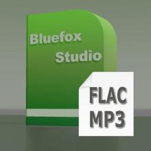 FLAC MP3 Converter, convert FLAC to MP3, MP3 to FLAC