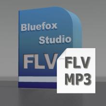 FLV to MP3 Converter, Convert FLV to MP3, FLV Video to MP3, FLV Converter to MP3