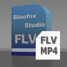 FLV to MP4 Converter, Convert FLV to MP4, FLV Video to MP4, FLV Converter to MP4