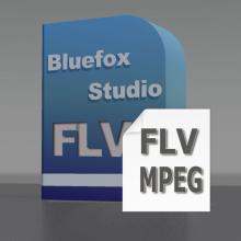 FLV to MPEG Converter, Convert FLV to MPEG, FLV to MPEG Video, FLV Converter to MPEG