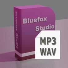 MP3 WAV Converter - Convert MP3 to WAV, WAV to MP3